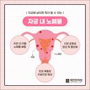 약령시장 이미지
