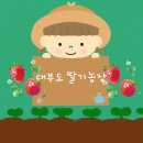 안산농장 | 안산 딸기농장 체험 그린티플 대부도 아기랑 실내 갈만한 곳 추천