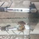 밸리사이드