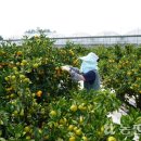 수당농장 이미지