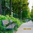 이승에서. 이미지