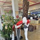 썬옥(SUNOK) 이미지