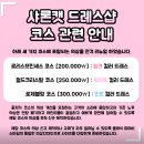 샤론헤어아트 | 롯데월드 공주체험 가격 예약방법 샤론캣 드레스샵 구경해보기