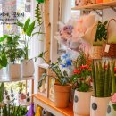 부흥중학교 정문 앞 이미지