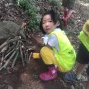 깨금발어린이집 이미지