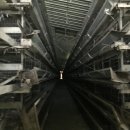 영광목장 이미지