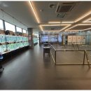 강아지와고양이 이미지