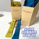 진피오니 이미지
