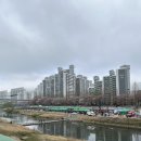 한마음 | 의정부 2026 한마음 건강걷기 참여 후기