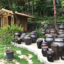 약선오리 이미지