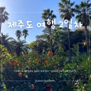 예래별장 | 영진 보말칼국수, 바이나흐튼 크리스마스 박물관, 중문별장, 서울앵무새, 바나나 정육식점, 올레시장...