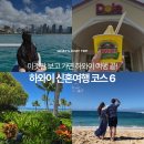 주식회사 빅아크 | 하와이 신혼여행 추천 코스 6ㅣ하와이 자유여행 일정 짜고 있다면! 꼭 해야 할 액티비티