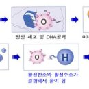 트러블 살롱