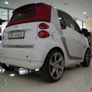 더트리톤 이미지