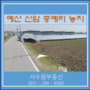 추사고택 진입로 이미지