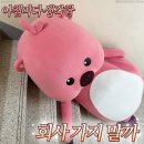 부산배드민턴센터