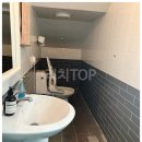 사파동150 이미지