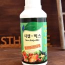 해조하우스 이미지