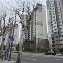 도곡1-106 이미지