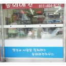 놀뫼애견 이미지