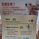 동인동물병원 이미지