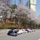 용인대 비룡 태권도 사관학교 이미지