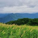 제 822차 대구등고선산악회 토요정기산행 \ 정선 민둥산 \ 8월29일 토요일 \ 00시:00분 법원 출발 이미지