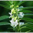 용산농장 이미지