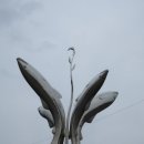 솔숲갈래길 이미지