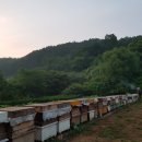 송월농장 이미지