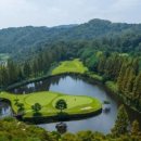 올데이 로얄포레 이미지