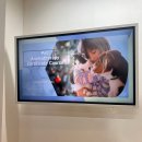 저녁아로마테라피DIY | icaa 펫아로마테라피 수강후기, 반려견 DIY 제품 만들기