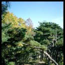 수졸당