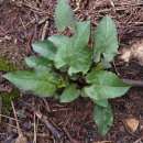 지천농장 이미지