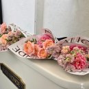 스몰웨딩 앨리스몽드 하객후기 하우스웨딩 홀 분위기 뷔페 총 정리
