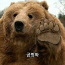 판교원로82번길 이미지