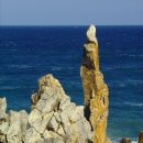 미인열차 이미지