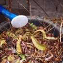 용산-247 이미지