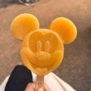 주식회사 광주애니팜 | 나홀로 도쿄 디즈니랜드 🎡