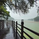 고모리보리밥 이미지