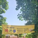 미가랑 티스토리