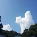 최형만 카카오 검색결과
