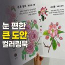 어르신 색칠공부 추천｜집중력 높아지는 피코벨 컬러링북 후기