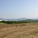 야생화답사 이미지