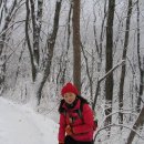 충청환경 이미지