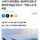 스칸디나비아 항공(SAS), 내년 9월부터 인천공항-코펜하겐 직항 취항 이미지