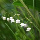 석동암주유소 이미지