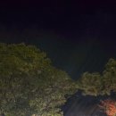 서귀포 클래식 이미지