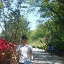 화원동산 동물원 이미지