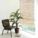 문발로(2) 이미지